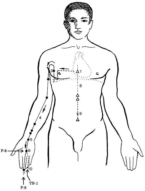 Иллюстрация к книге — Корни китайского цигун. Секреты успешной практики [_56.jpg]