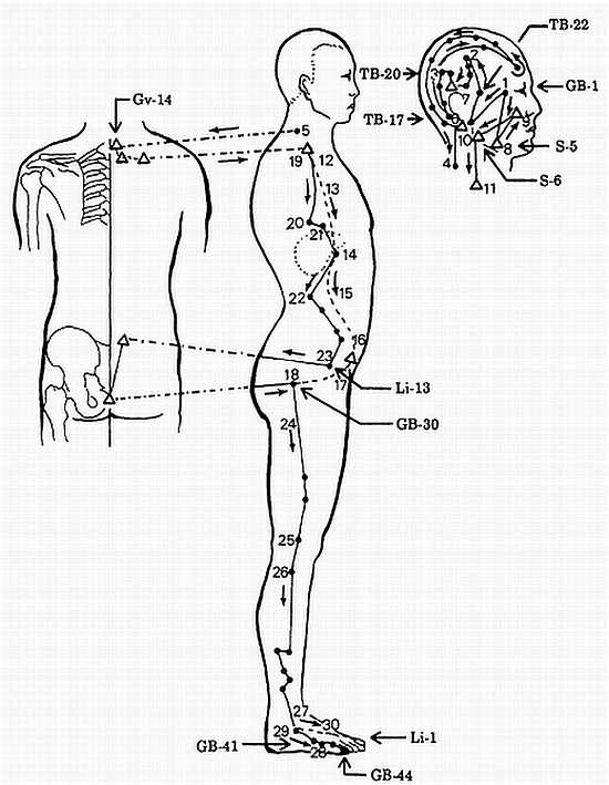 Иллюстрация к книге — Корни китайского цигун. Секреты успешной практики [_58.jpg]