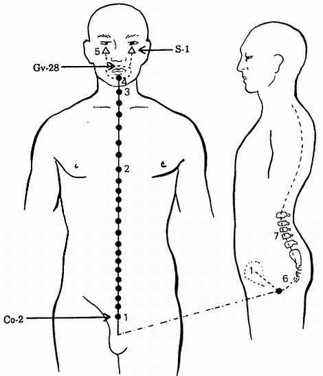 Иллюстрация к книге — Корни китайского цигун. Секреты успешной практики [_61.jpg]