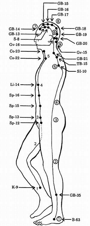 Иллюстрация к книге — Корни китайского цигун. Секреты успешной практики [_65.jpg]