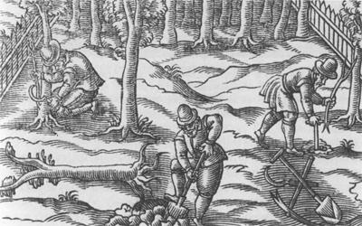 Иллюстрация к книге — Повседневная жизнь англичан в эпоху Шекспира [img28ee.jpg]