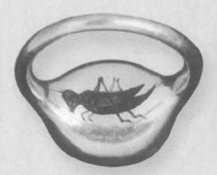 Иллюстрация к книге — Повседневная жизнь англичан в эпоху Шекспира [imgb9f1.jpg]