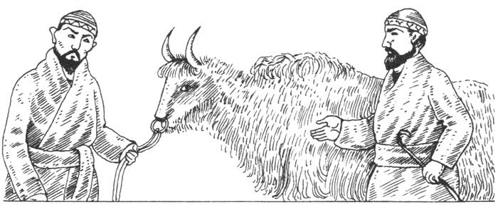 Иллюстрация к книге — Тюрки. Двенадцать лекций по истории тюркских народов Средней Азии [i_005.jpg]