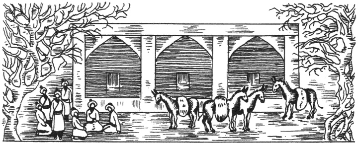 Иллюстрация к книге — Тюрки. Двенадцать лекций по истории тюркских народов Средней Азии [i_014.jpg]