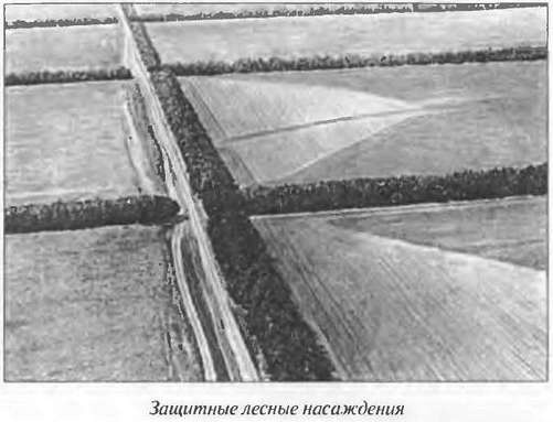 Иллюстрация к книге — Полигоны смерти? Сделано в СССР [image30.jpg]