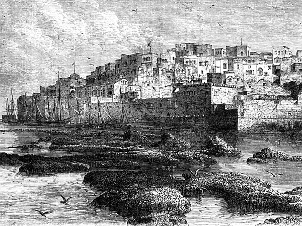 Иллюстрация к книге — Сирия и Палестина под турецким правительством [i_090.jpg]