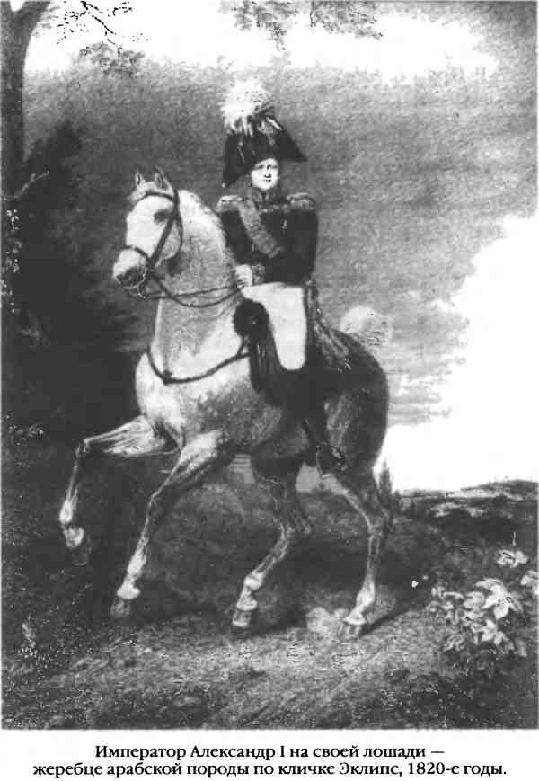 Иллюстрация к книге — Повседневная жизнь русского гусара в царствование императора Александра I [i_049.jpg]