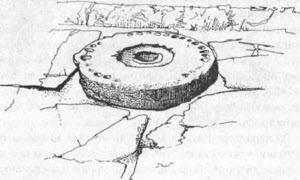 Иллюстрация к книге — Компьютер бронзового века. Расшифровка Фестского диска [i_031.jpg]