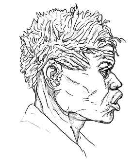 Иллюстрация к книге — Тайная родословная человечества [_09.jpg]