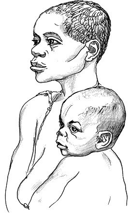 Иллюстрация к книге — Тайная родословная человечества [_37.jpg]