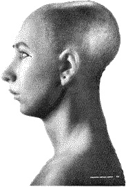 Иллюстрация к книге — Тайная родословная человечества [_58.jpg]