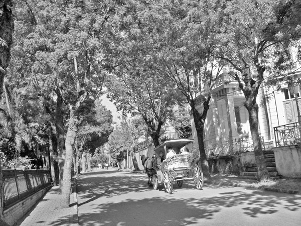 Иллюстрация к книге — Ермолка под тюрбаном [i_007.jpg]