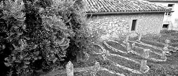 Иллюстрация к книге — Ермолка под тюрбаном [i_049.jpg]