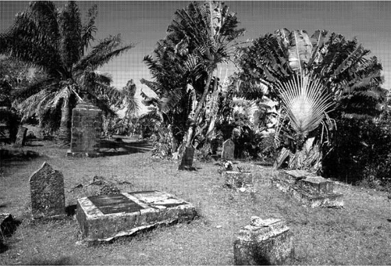 Иллюстрация к книге — Всемирная история пиратства [i_029.jpg]