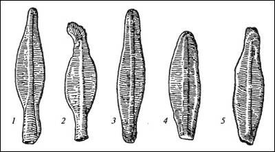 Иллюстрация к книге — Даки. Древний народ Карпат и Дуная [i_052.jpg]