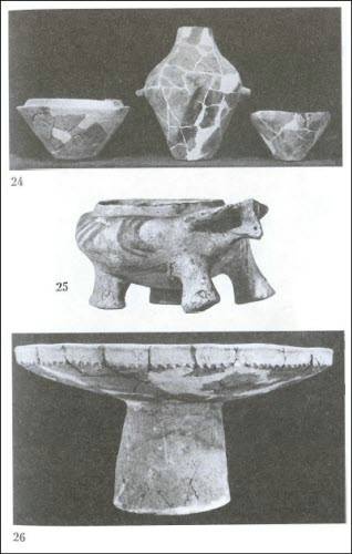 Иллюстрация к книге — Даки. Древний народ Карпат и Дуная [i_066.jpg]