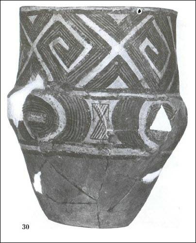 Иллюстрация к книге — Даки. Древний народ Карпат и Дуная [i_068.jpg]