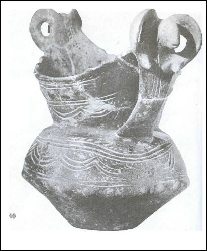 Иллюстрация к книге — Даки. Древний народ Карпат и Дуная [i_073.jpg]