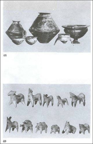 Иллюстрация к книге — Даки. Древний народ Карпат и Дуная [i_077.jpg]