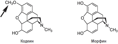 Иллюстрация к книге — Пуговицы Наполеона. Семнадцать молекул, которые изменили мир [i_218.jpg]