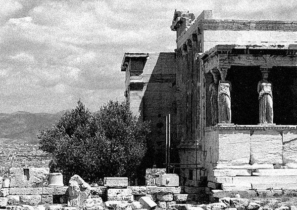 Иллюстрация к книге — Пуговицы Наполеона. Семнадцать молекул, которые изменили мир [i_238.jpg]