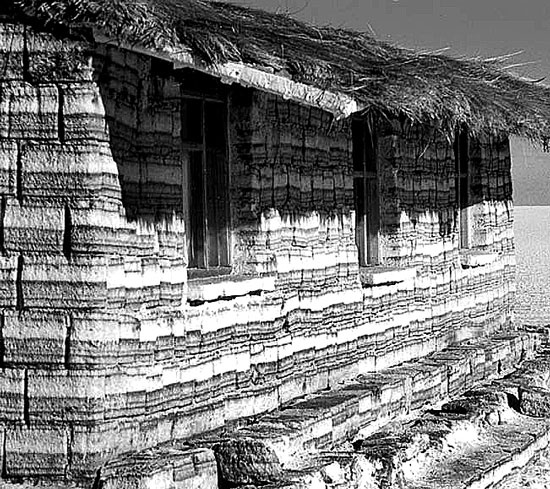 Иллюстрация к книге — Пуговицы Наполеона. Семнадцать молекул, которые изменили мир [i_253.jpg]