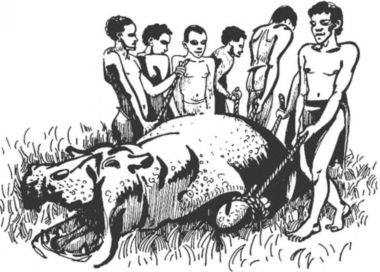 Иллюстрация к книге — Загадочные племена и народы мира [i_014.jpg]