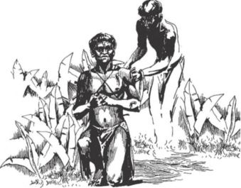 Иллюстрация к книге — Загадочные племена и народы мира [i_023.jpg]