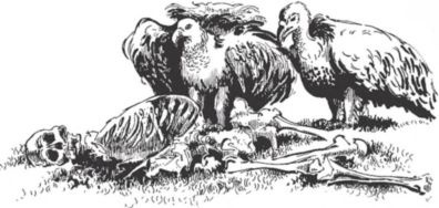 Иллюстрация к книге — Загадочные племена и народы мира [i_046.jpg]