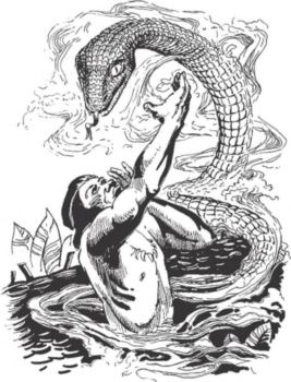 Иллюстрация к книге — Загадочные племена и народы мира [i_055.jpg]