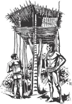 Иллюстрация к книге — Загадочные племена и народы мира [i_058.jpg]