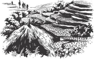 Иллюстрация к книге — Загадочные племена и народы мира [i_065.jpg]