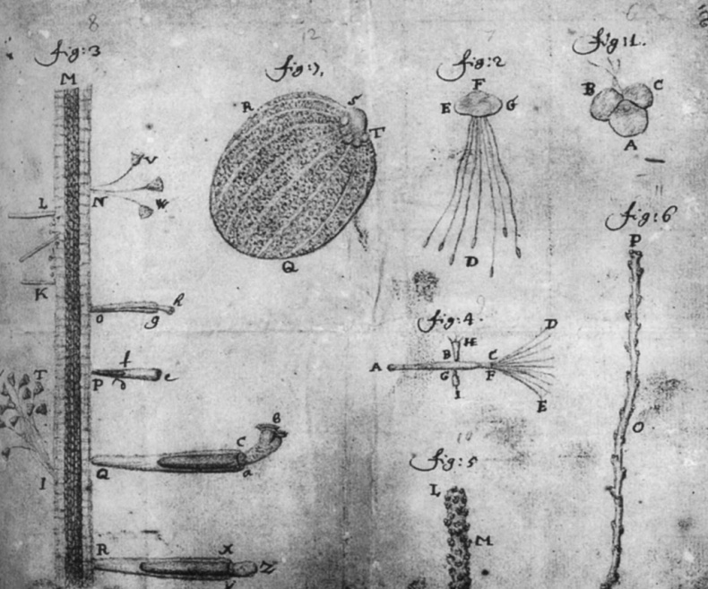 Иллюстрация к книге — Пинбол-эффект. От византийских мозаик до транзисторов и другие путешествия во времени [_6.jpg]
