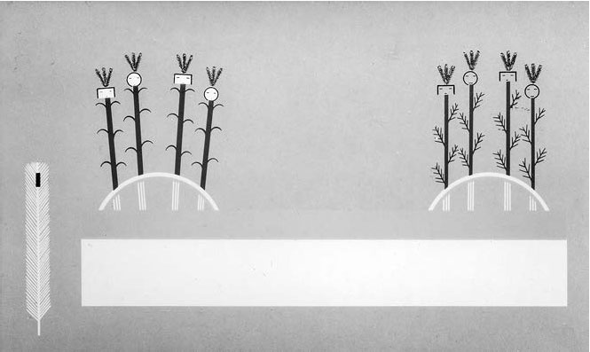 Иллюстрация к книге — Тысячеликий герой [_21.jpg]