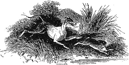 Иллюстрация к книге — Тысячеликий герой [_56.jpg]