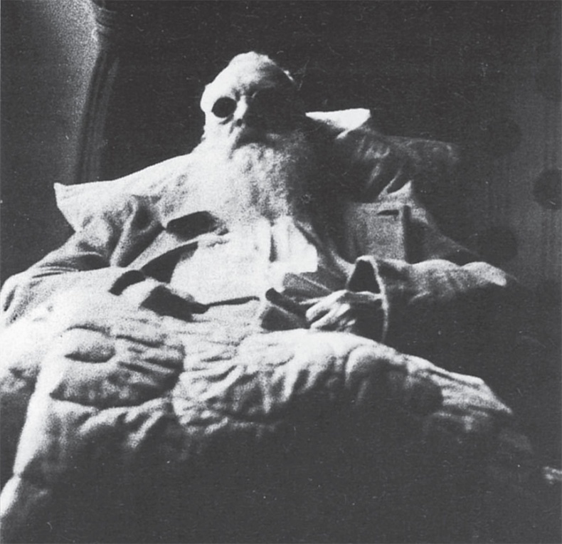 Иллюстрация к книге — Чарующее безумие. Клод Моне и водяные лилии [i_051.jpg]