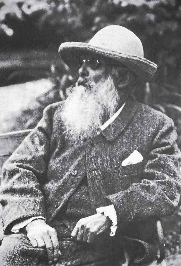 Иллюстрация к книге — Чарующее безумие. Клод Моне и водяные лилии [i_054.jpg]