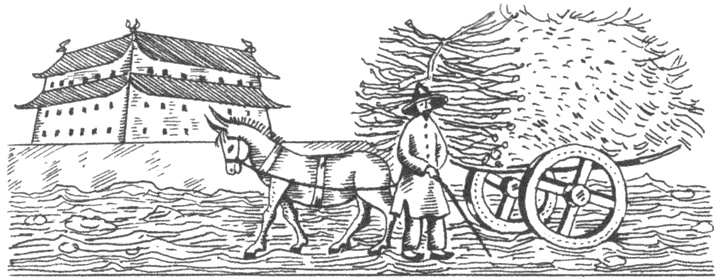 Иллюстрация к книге — Лики Срединного царства. Занимательные и познавательные сюжеты средневековой истории Китая [i_016.jpg]