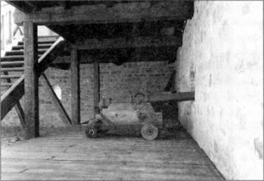 Иллюстрация к книге — Несостоявшийся император Федор Алексеевич [i_030.jpg]