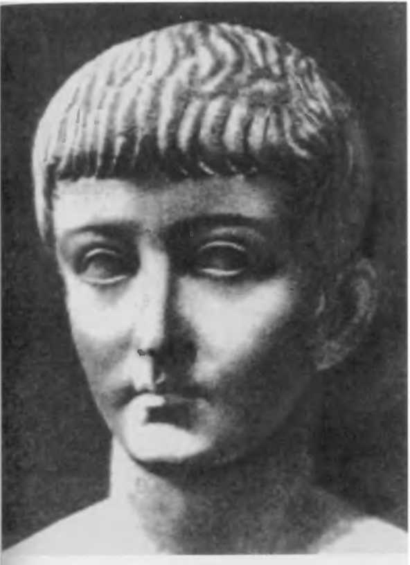 Иллюстрация к книге — Повседневная жизнь римского патриция в эпоху разрушения Карфагена [i_004.jpg]