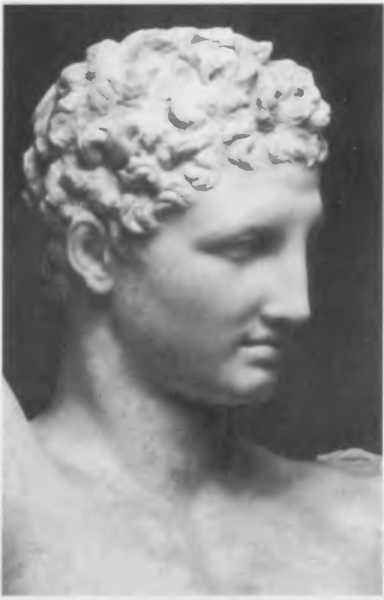 Иллюстрация к книге — Повседневная жизнь римского патриция в эпоху разрушения Карфагена [i_009.jpg]