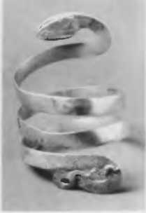 Иллюстрация к книге — Повседневная жизнь римского патриция в эпоху разрушения Карфагена [i_010.jpg]