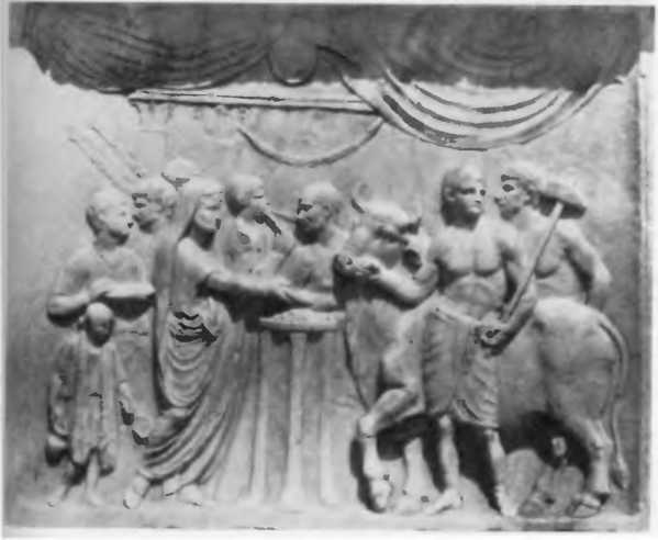 Иллюстрация к книге — Повседневная жизнь римского патриция в эпоху разрушения Карфагена [i_028.jpg]