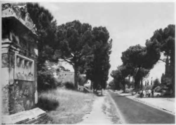 Иллюстрация к книге — Повседневная жизнь римского патриция в эпоху разрушения Карфагена [i_031.jpg]