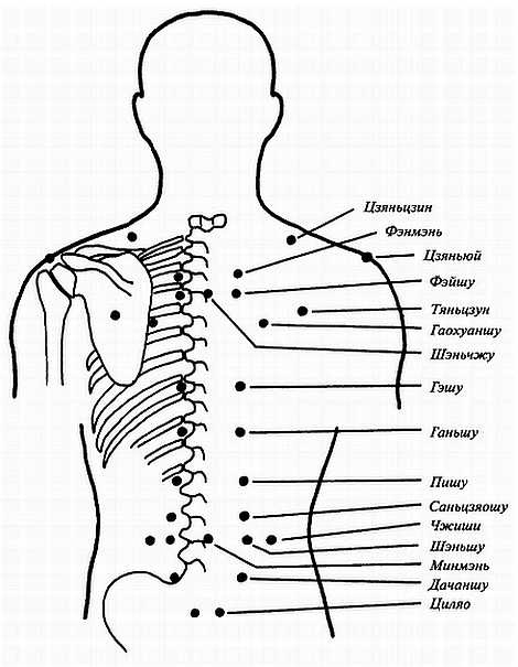 Иллюстрация к книге — Цигун для здоровья и боевых искусств. Полный практический курс [_10.jpg]