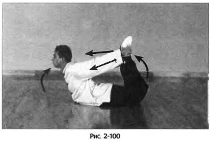 Иллюстрация к книге — Цигун для здоровья и боевых искусств. Полный практический курс [_100.jpg]