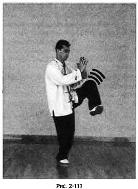 Иллюстрация к книге — Цигун для здоровья и боевых искусств. Полный практический курс [_111.jpg]