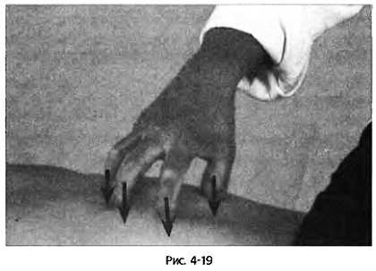 Иллюстрация к книге — Цигун для здоровья и боевых искусств. Полный практический курс [_19.jpg]