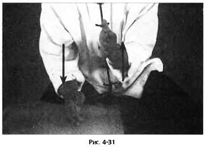 Иллюстрация к книге — Цигун для здоровья и боевых искусств. Полный практический курс [_31.jpg]