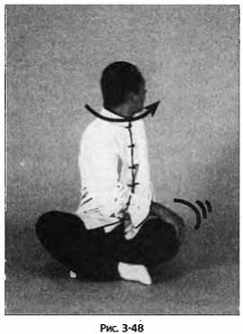 Иллюстрация к книге — Цигун для здоровья и боевых искусств. Полный практический курс [_48.jpg]